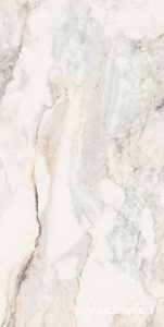 Керамогранит Pamesa CR Pisa  Gold Compglass (п.п.)ZZ 60X120 Белый 