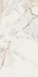 Керамогранит Pamesa CR Pisa  Gold Compglass (п.п.)ZZ 60X120 Белый 