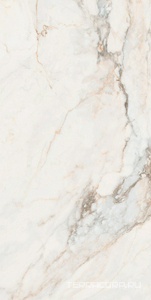 Керамогранит Pamesa CR Pisa  Gold Compglass (п.п.)ZZ 60X120 Белый 