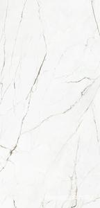 Керамогранит Pamesa CR.Torano Cr.Torano Dorado leviglass 60X120 Белый 