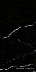 Керамогранит Pamesa CR Lux Cr.Lux Deva Nero  pol/rett 60X120 Черный 