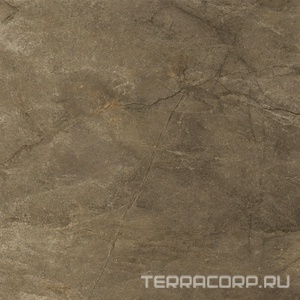 Керамогранит Pamesa Cr.Wells  Moka Leviglass(п.п.) 120x120 Коричневый 