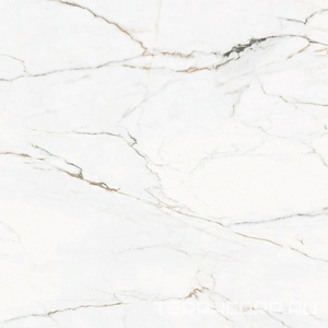 Керамогранит Pamesa CR.Torano Cr.Torano Dorado pol/rett  (п.п.) ZZ120x120 Белый 