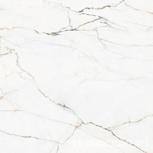 Керамогранит Pamesa CR.Torano Cr.Torano Dorado pol/rett  (п.п.) ZZ120x120 Белый 