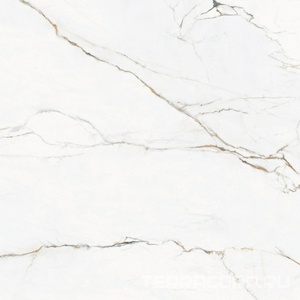 Керамогранит Pamesa CR.Torano Cr.Torano Dorado pol/rett  (п.п.) ZZ120x120 Белый 