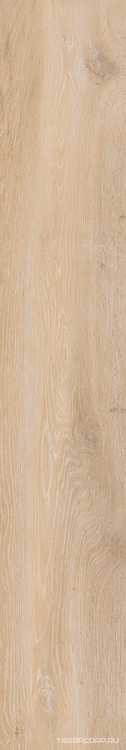 At. Viggo ArceRett|20x120