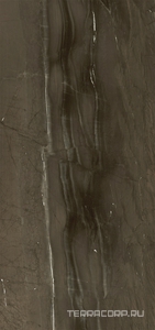 Керамогранит Pamesa CR Lux Cr.Lux Jatoba Brown 6 мм pol/rett  120X280 ZZ Коричневый 