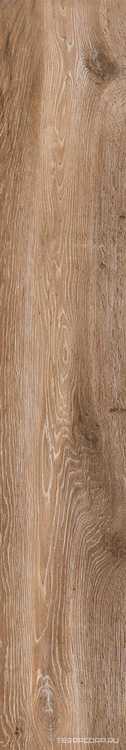 At. Viggo Roble Rett|20x120