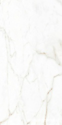 Cr.Torano Dorado Compacglass |60x120