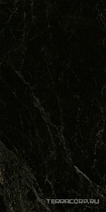 Керамогранит Pamesa CR Lux Cr.Lux BODRUM GRAPHITE pol/rett (п.п.)ZZ60X120 Серый 