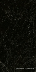 Керамогранит Pamesa CR Lux Cr.Lux BODRUM GRAPHITE pol/rett (п.п.)ZZ60X120 Серый 