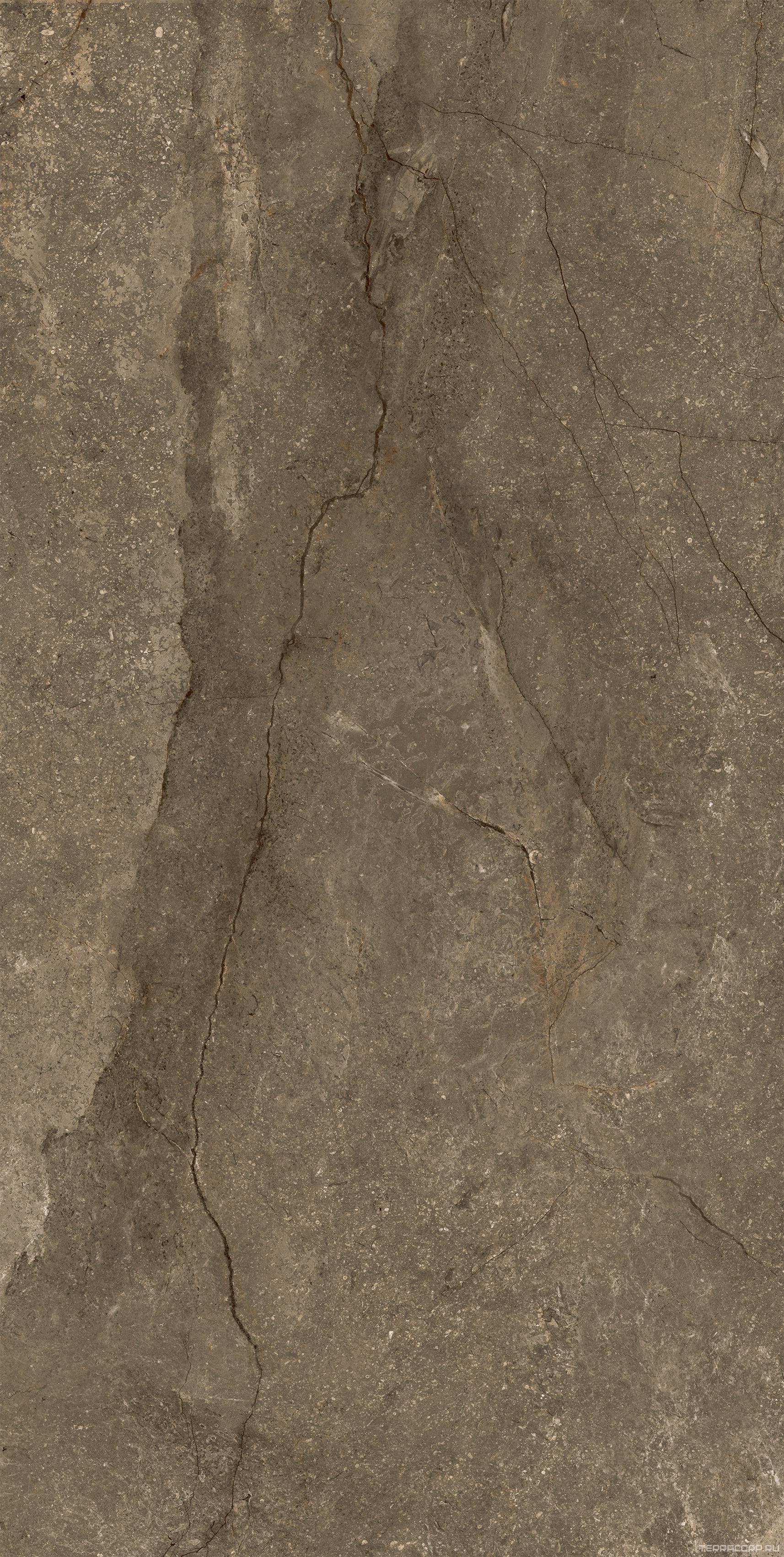 Керамогранит Pamesa Cr.Wells Moka Leviglass(п.п.) 60x120 Коричневый, фото 7