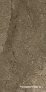 Керамогранит Pamesa Cr.Wells  Moka Leviglass(п.п.) 60x120 Коричневый 