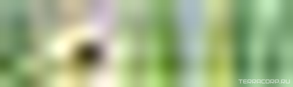 Керамическая плитка Kerama Marazzi Сезоны Бордюр Лето ZZl3х9.9 Комбинированный 