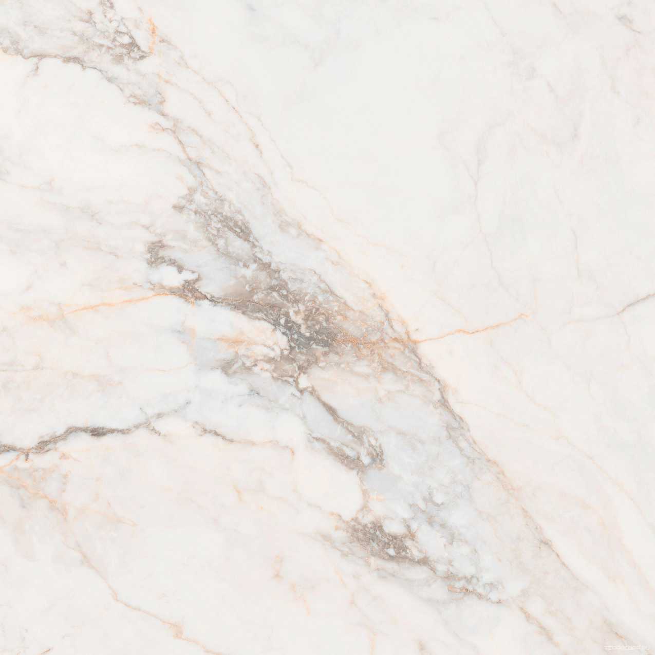 CR Pisa Gold Compglass |90X90