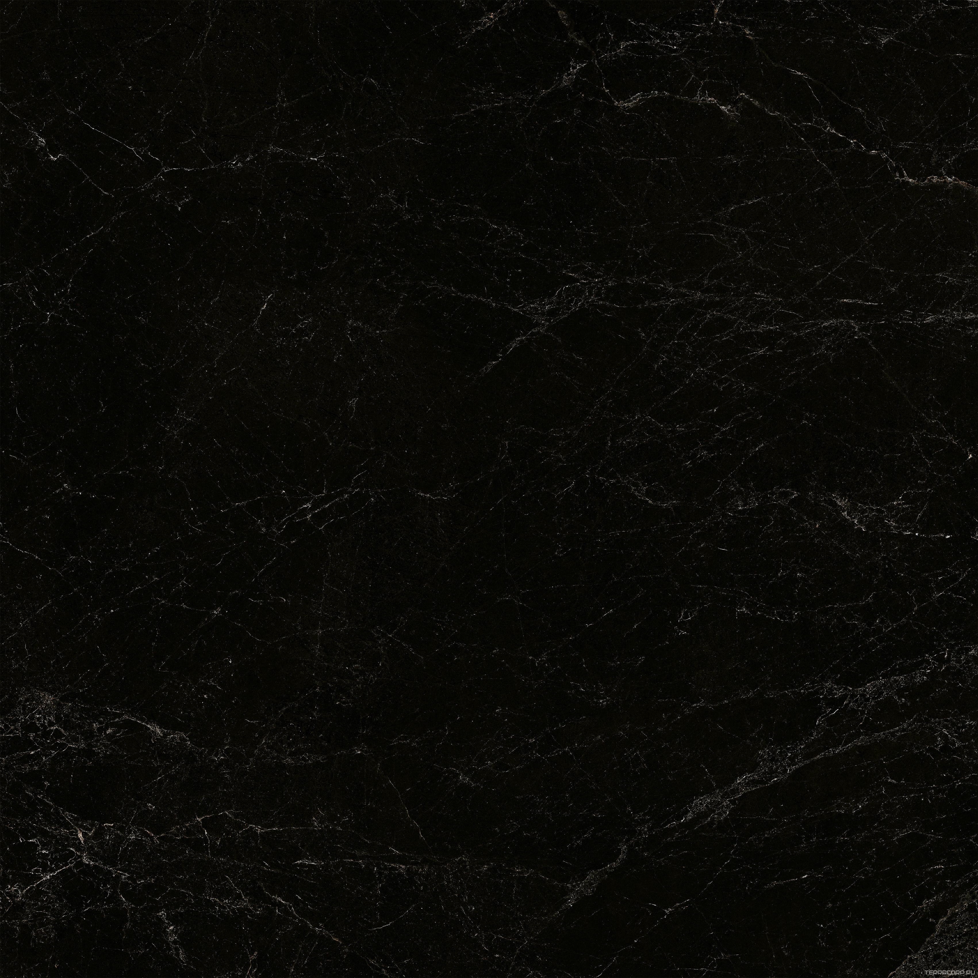Керамогранит Pamesa CR Lux Cr.Lux BODRUM GRAPHITE pol/rett (п.п.) ZZ120X120 Серый, фото 7