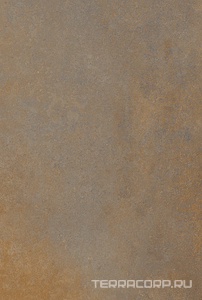 Керамогранит Alpas 2 CM Outdoor Enrich Brown (Rustin) 2 cm (от 300 кв.м)  60x90 Коричневый 