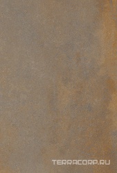 Enrich Brown (Rustin) 2 cm (от 300 кв.м)  ZZ 60x90