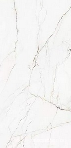 Керамогранит Pamesa CR.Torano CR. Torano Dorado compacglass (п.п.) 120x120 Белый 