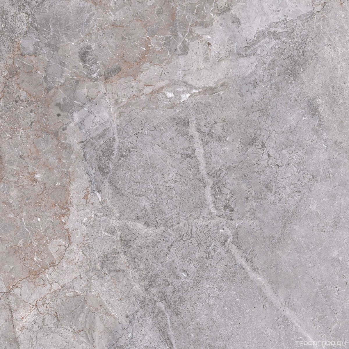 Керамогранит Zerde Fior di bosko grey 60x60 Серый, фото 6