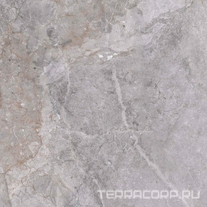 Керамогранит Zerde Fior  di bosko grey 60x60 Серый 