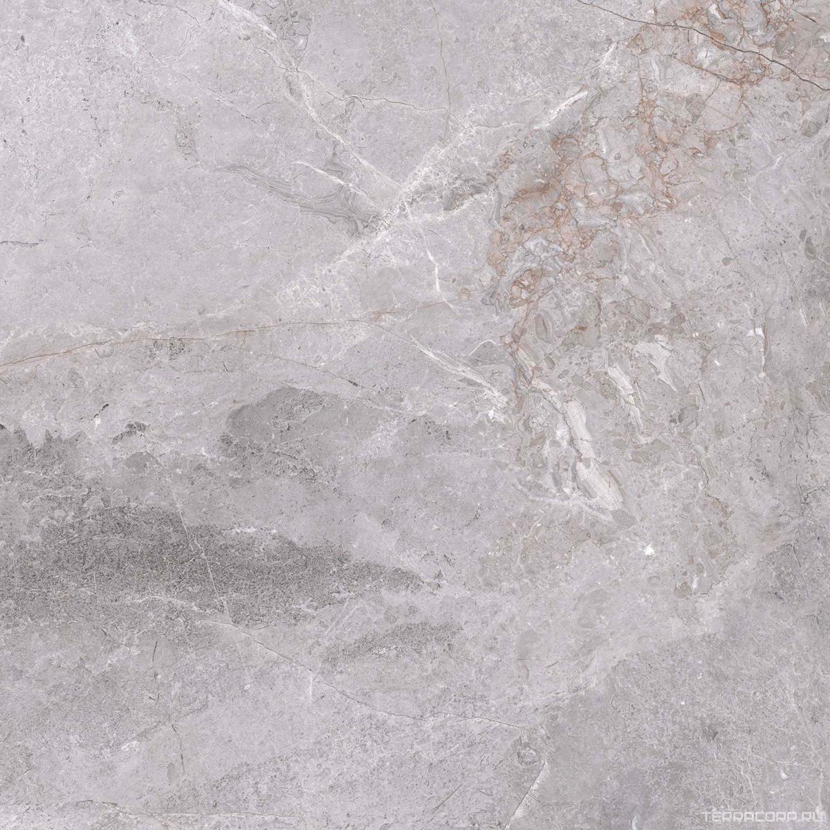 Керамогранит Zerde Fior di bosko grey 60x60 Серый, фото 5