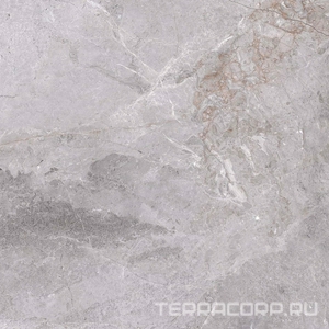 Керамогранит Zerde Fior  di bosko grey 60x60 Серый 