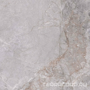 Керамогранит Zerde Fior  di bosko grey 60x60 Серый 