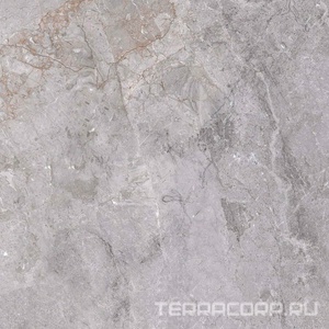Керамогранит Zerde Fior  di bosko grey 60x60 Серый 