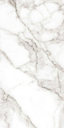 Грес AB01 White неполир.l80x160