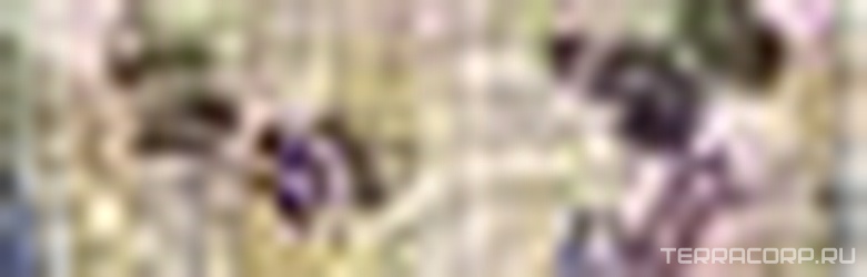 Бордюр Фридом 1 бежевыйZZ l8х25