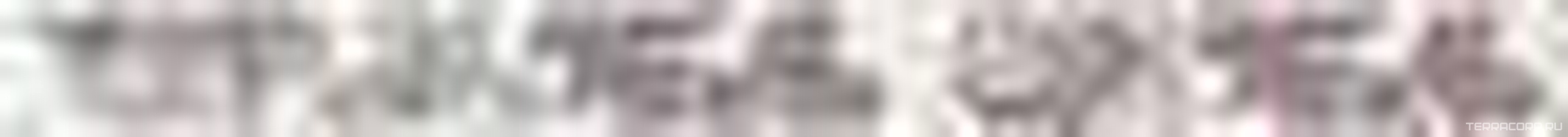 Бордюр Ньюпорт Цветы фиолетовый XX|3x40