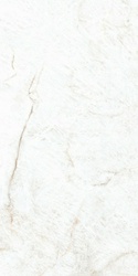 Crystal White Compacglass 60x120 Rec.