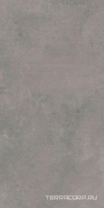 Керамическая плитка Azori Sorel  grey 31.5x63 Серый 
