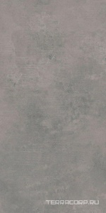 Керамическая плитка Azori Sorel  grey 31.5x63 Серый 