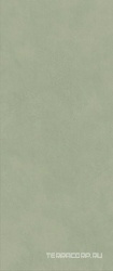 Boost Expression Olive ZZ 50x120