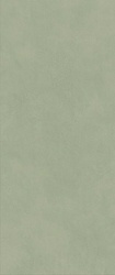 Boost Expression Olive ZZ 50x120