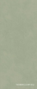 Керамическая плитка Atlas Concorde Italy Boost Expression  Olive 50x120 Зеленый 