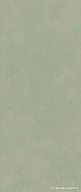 Boost Expression Olive ZZ 50x120