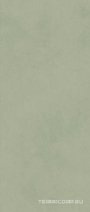 Керамическая плитка Atlas Concorde Italy Boost Expression  Olive 50x120 Зеленый 