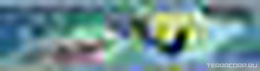 Бордюр Маронти рыбки XX|5.7х20