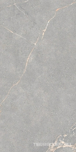 Керамогранит Lea Ceramiche Anthology  04 Gray Natural 60x120 Серый 