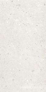 Керамогранит Provenza Ego  Avorio 60x120 Серый 