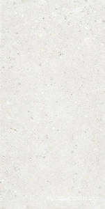 Керамогранит Provenza Ego  Avorio 60x120 Серый 