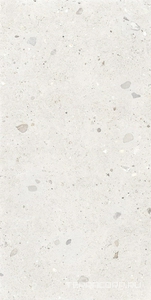 Керамогранит Provenza Ego  Avorio 60x120 Серый 
