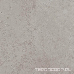 Керамогранит Kerama Marazzi Лаймстоун Про  серый натуральный обрезной 60х60 Серый 