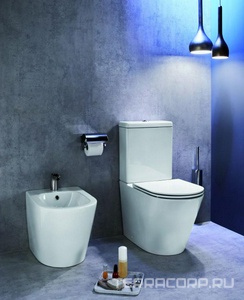 Биде напольное RODIN+ , цв белый, ZZ Jacob Delafon Rodin EBJ0002-00