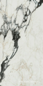 Керамогранит Florim Les Bijoux De Rex Bijoux Calacata Altissimo Blanc Glossy 60x120 Бежевый 