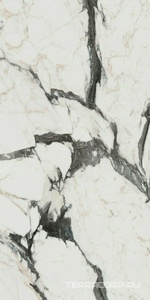 Керамогранит Florim Les Bijoux De Rex Bijoux Calacata Altissimo Blanc Glossy 60x120 Бежевый 