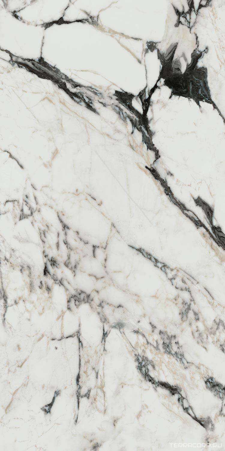 Керамогранит Florim Les Bijoux De Rex Bijoux Calacata Altissimo Blanc Glossy 60x120 Бежевый, фото 7